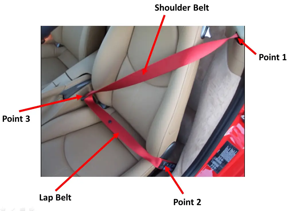 Three point seat belt
